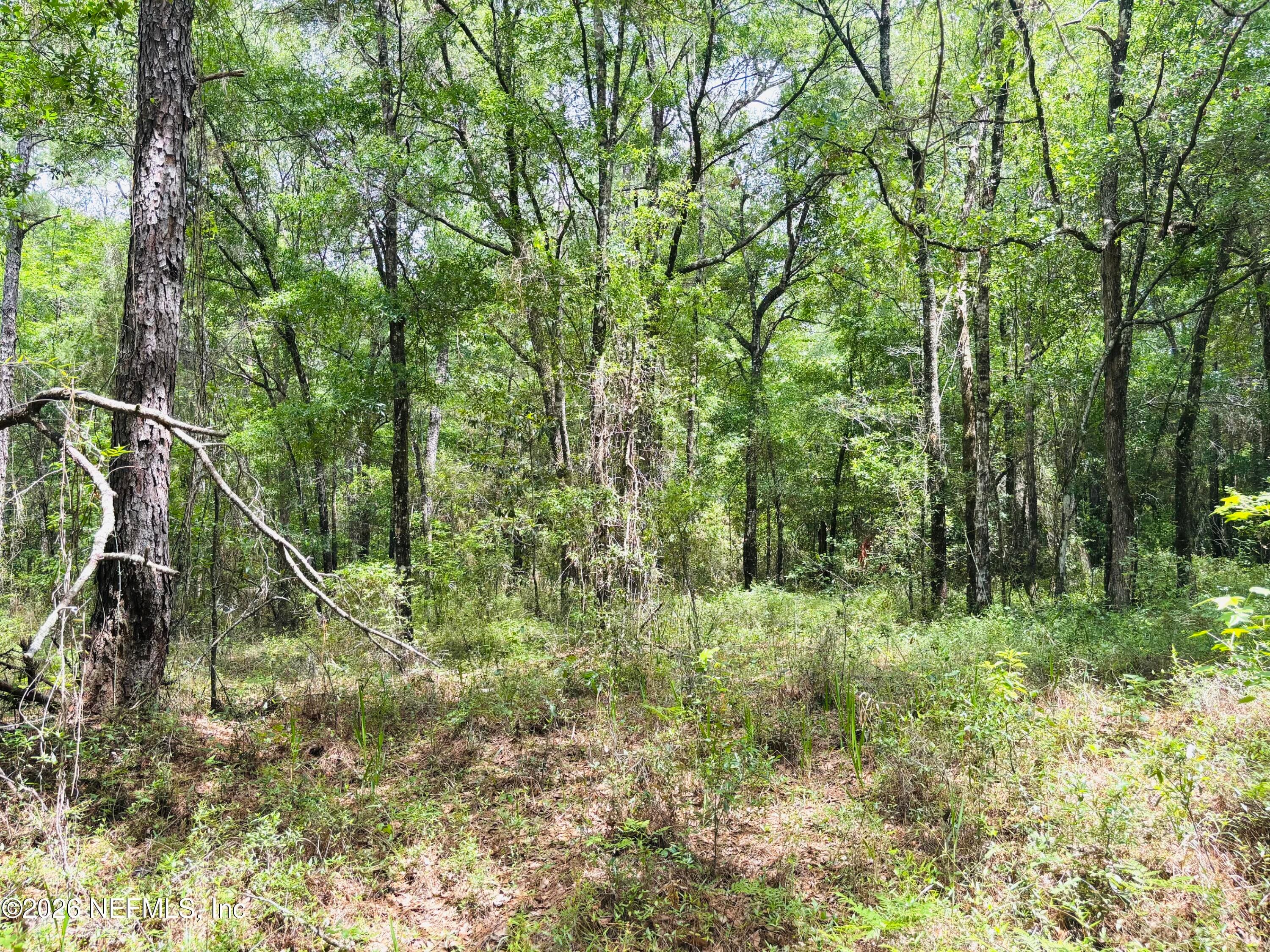 Photo 15 of 0 LAKE HAMPTON, Hilliard, FL 32046