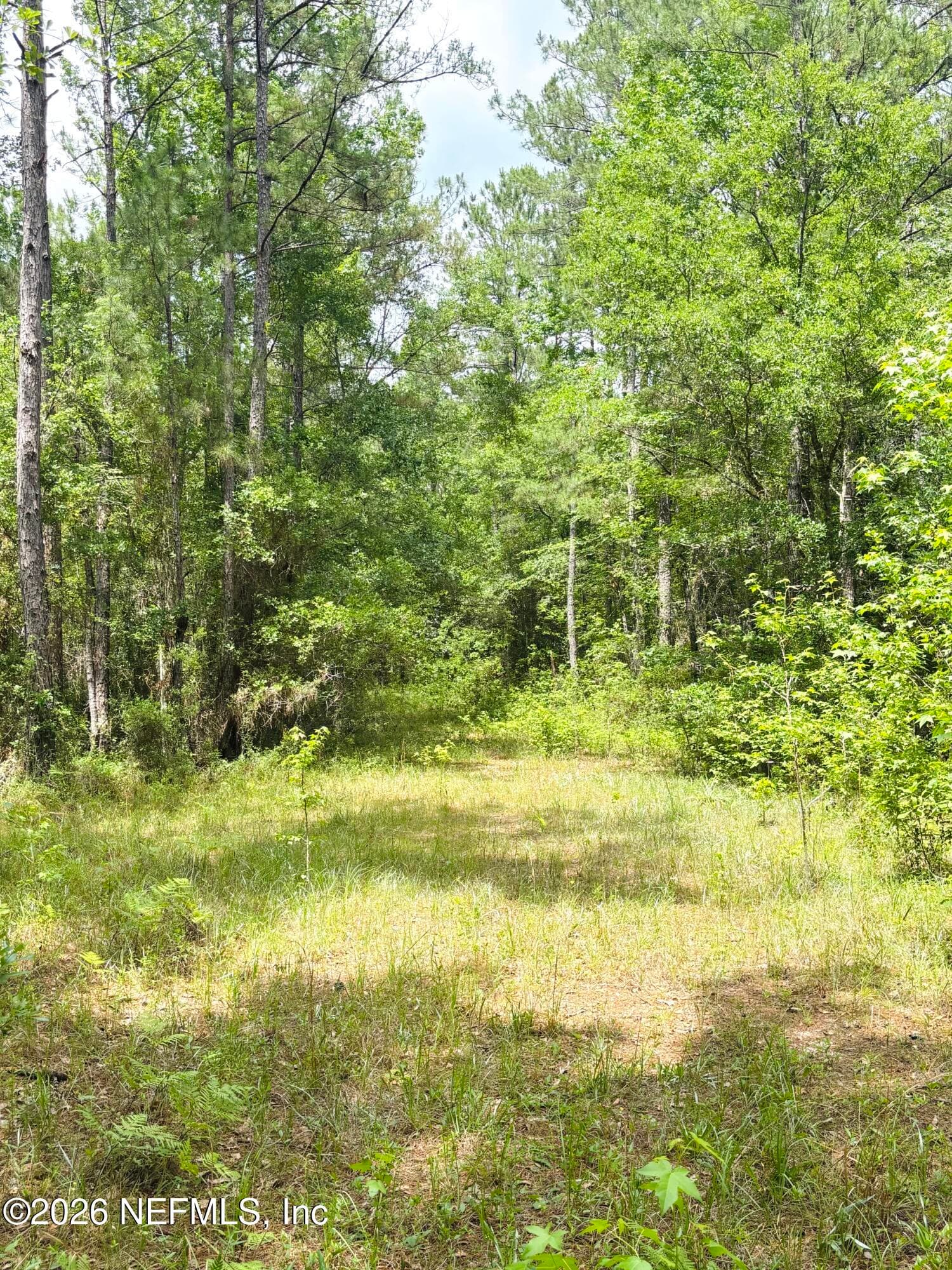 Photo 16 of 0 LAKE HAMPTON, Hilliard, FL 32046