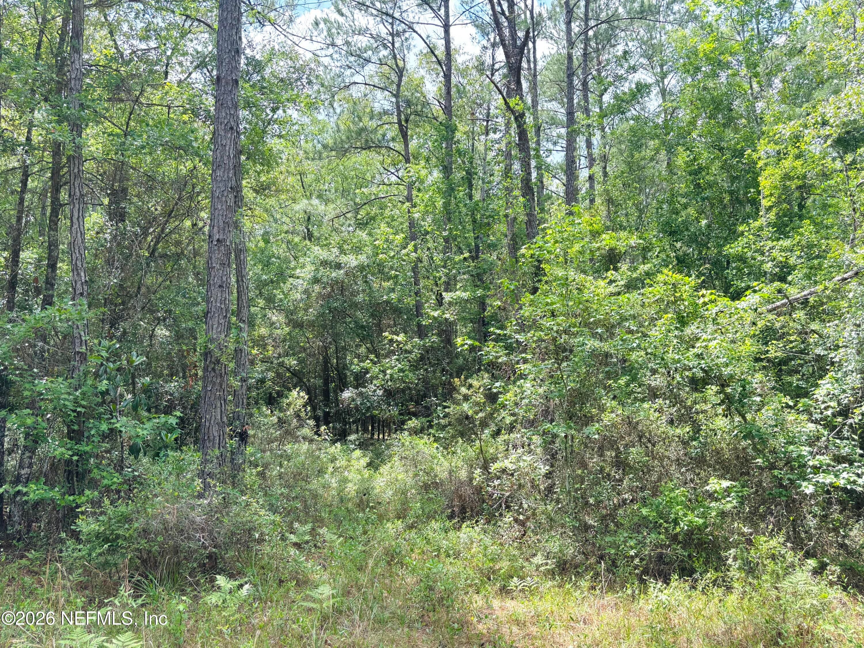 Photo 17 of 0 LAKE HAMPTON, Hilliard, FL 32046