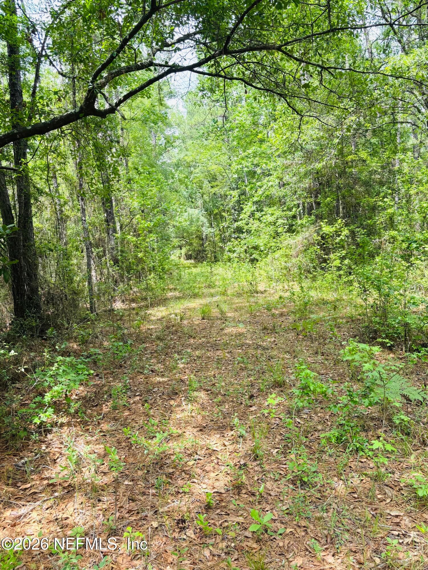 Photo 18 of 0 LAKE HAMPTON, Hilliard, FL 32046