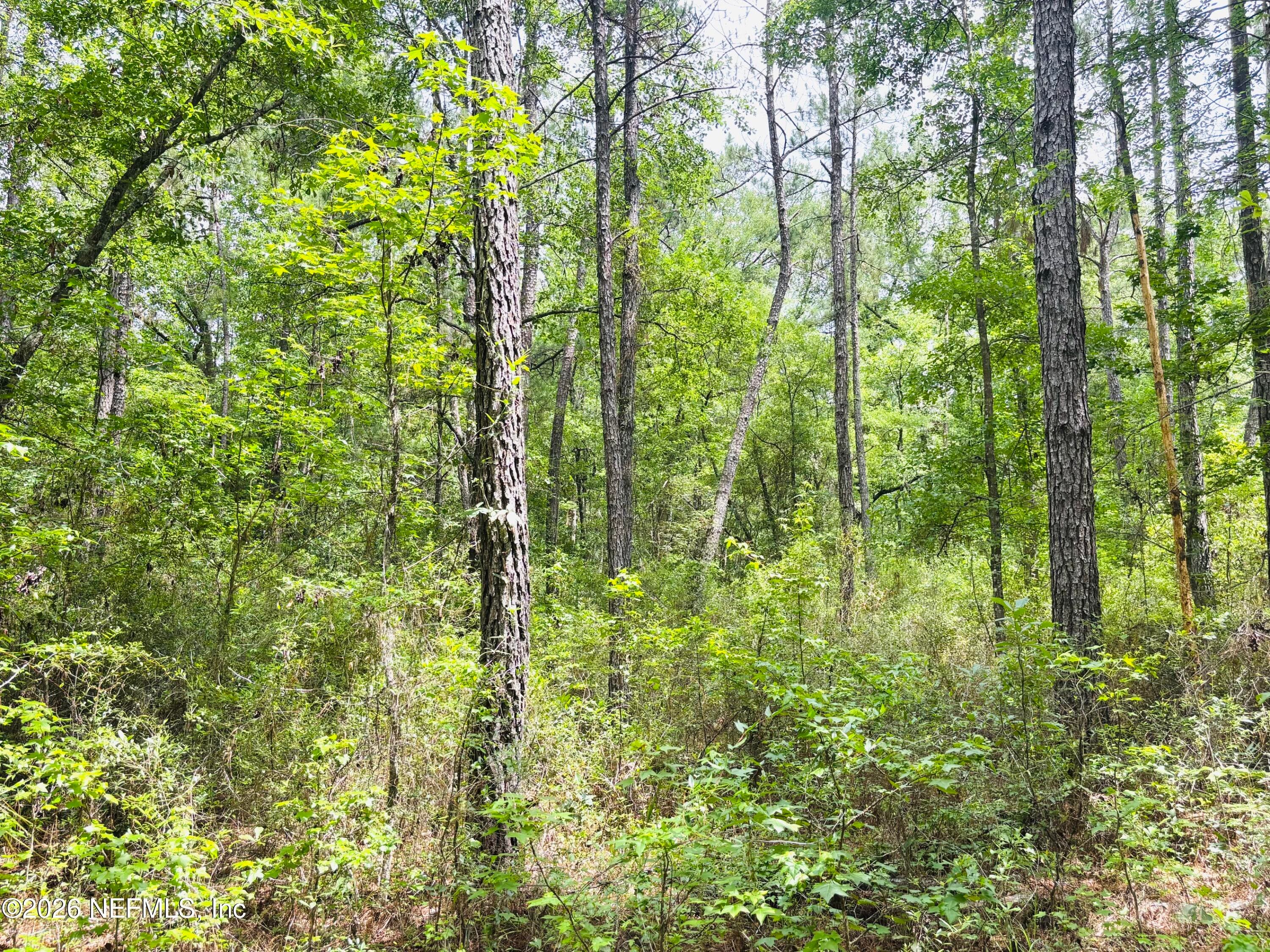 Photo 19 of 0 LAKE HAMPTON, Hilliard, FL 32046