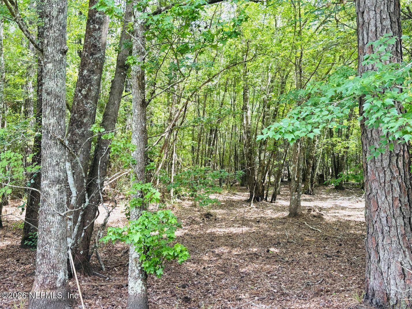 Photo 22 of 0 LAKE HAMPTON, Hilliard, FL 32046