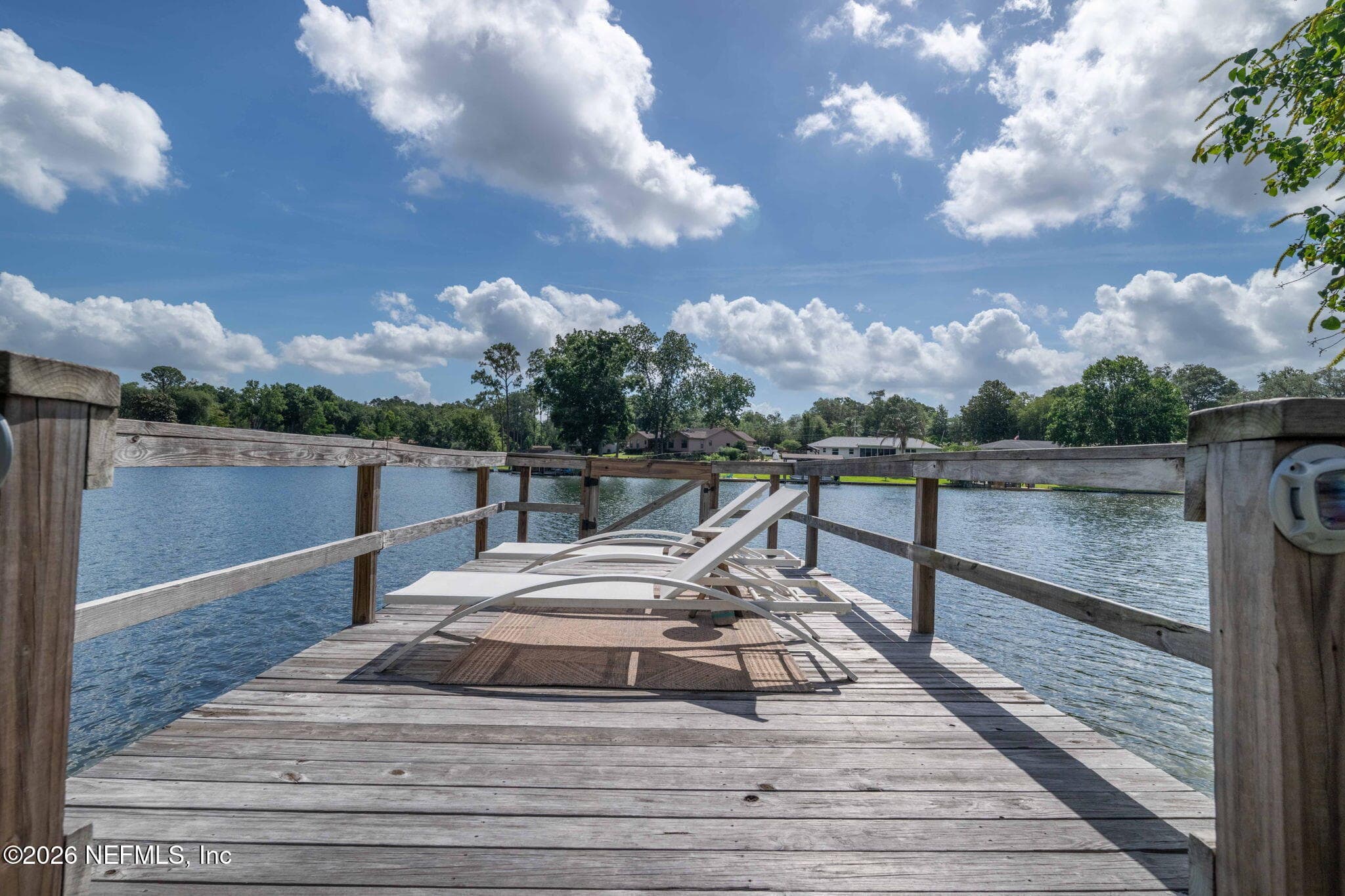 Photo 65 of 783 ARTHUR MOORE Drive, Green Cove Springs, FL 32043