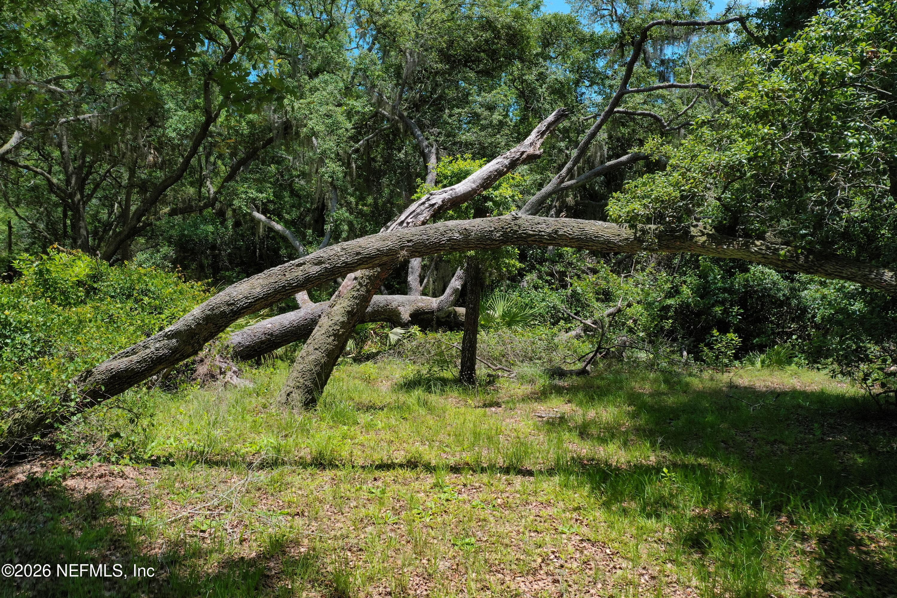 Photo 64 of 3296 N OLD DIXIE Highway, Bunnell, FL 32110
