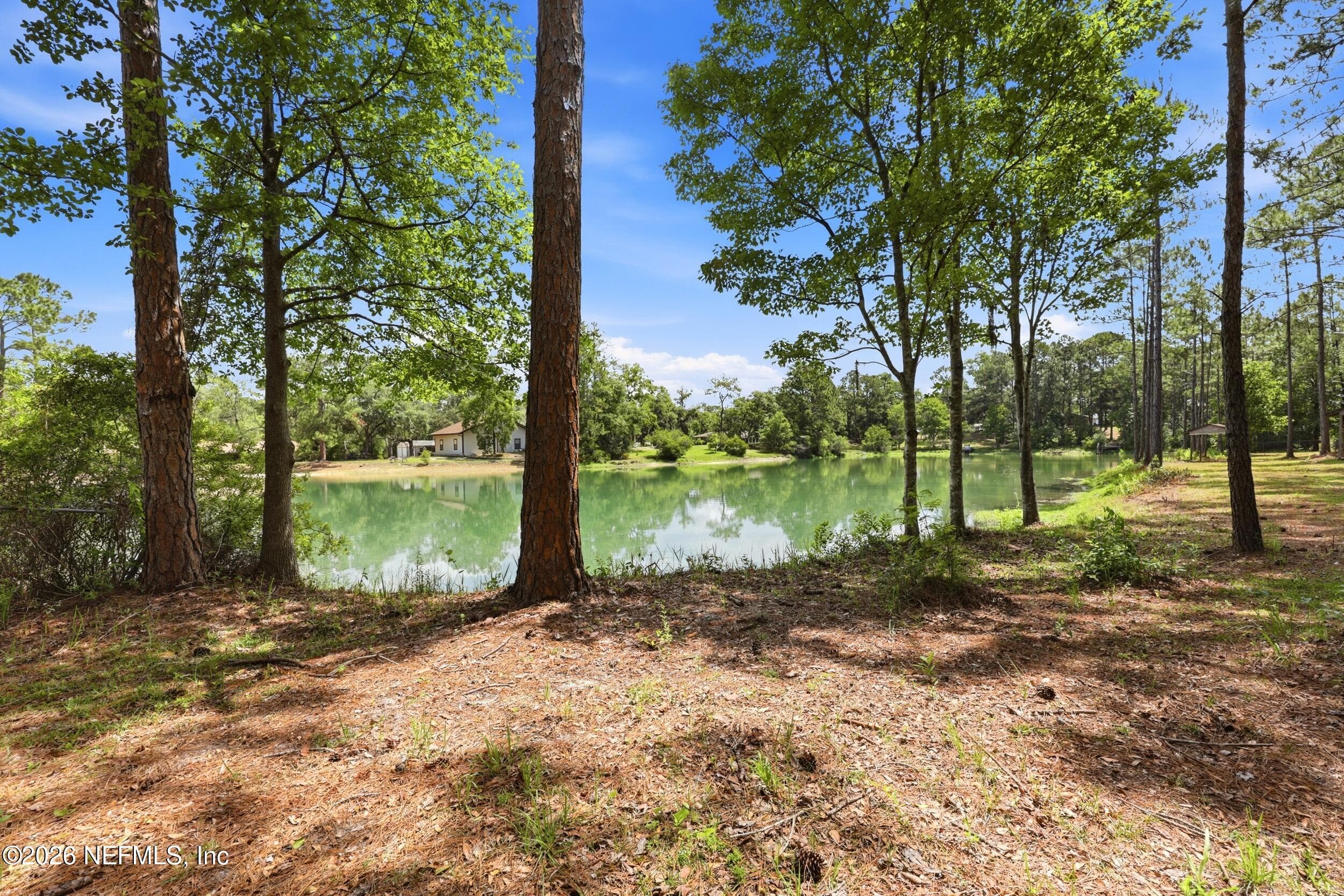 Photo 37 of 201 DOW Court, Green Cove Springs, FL 32043