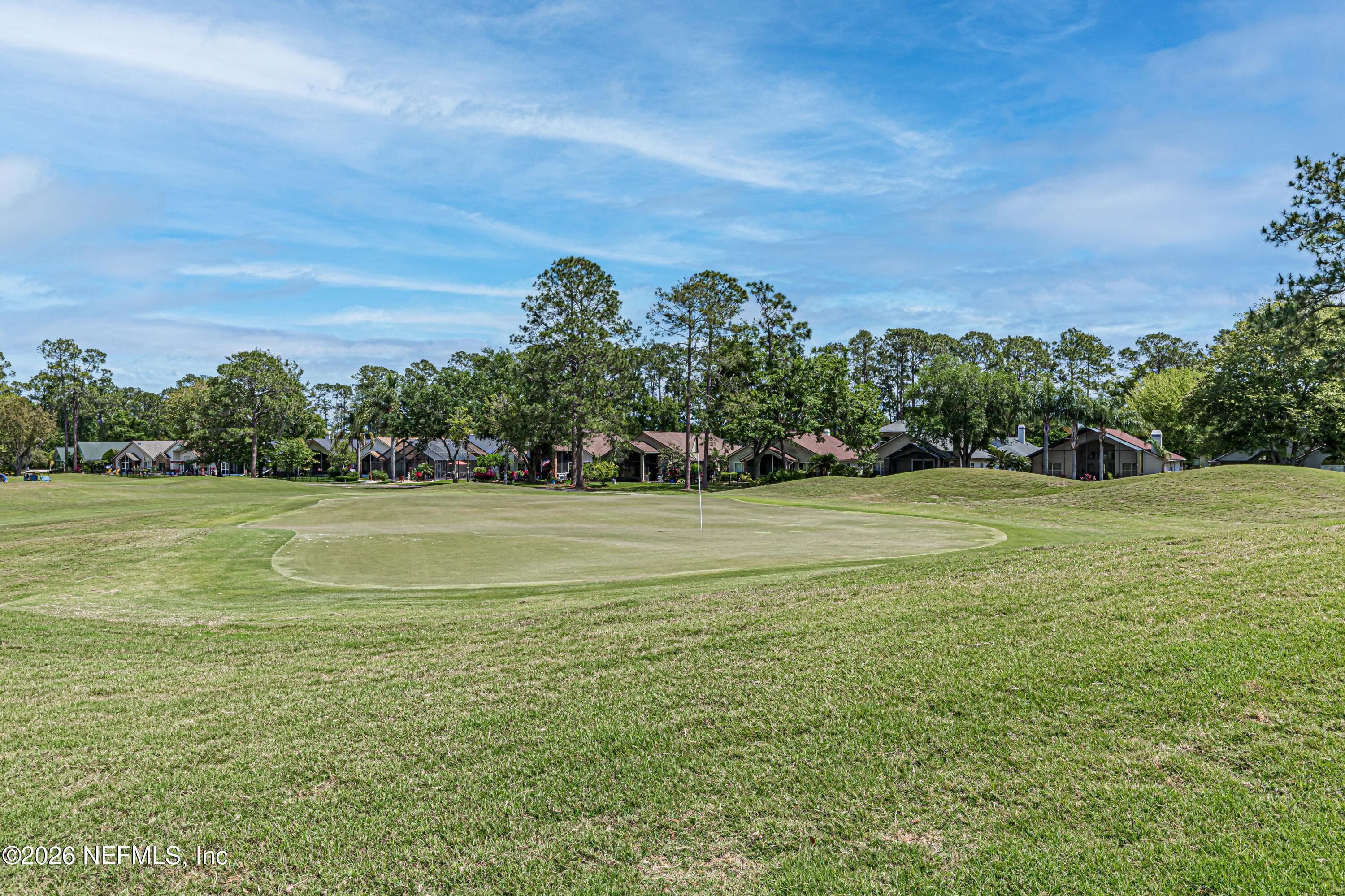 Photo 95 of 1452 COURSE VIEW Drive, Fleming Island, FL 32003