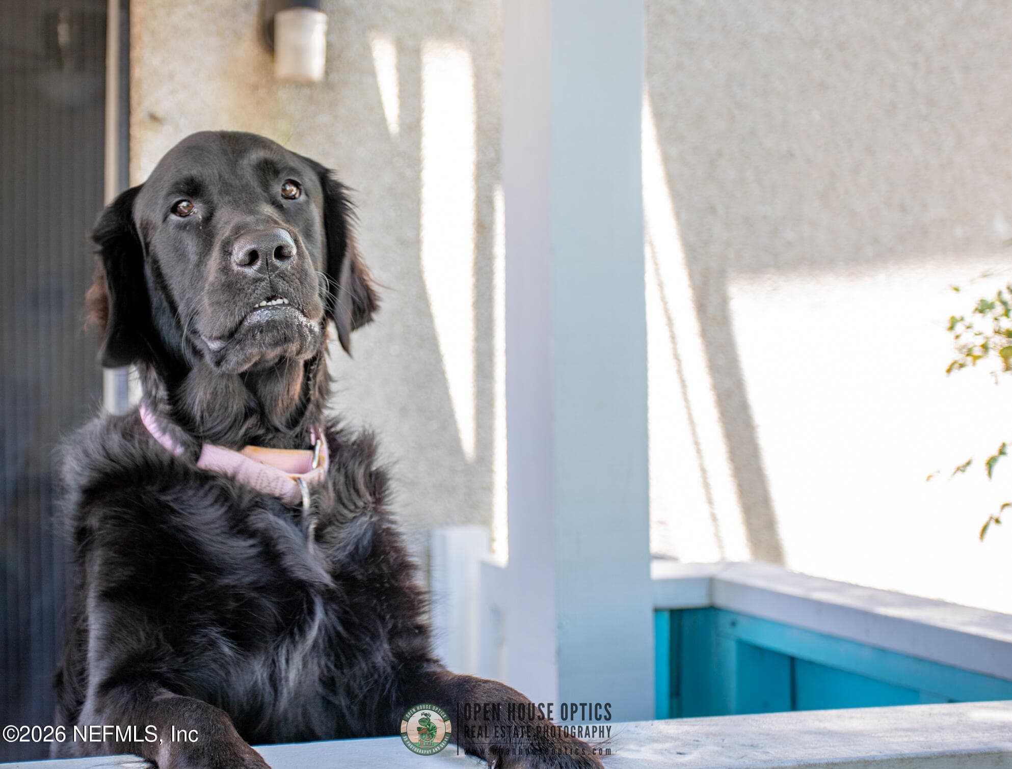 Photo 87 of 1766 BEACH Avenue, Atlantic Beach, FL 32233