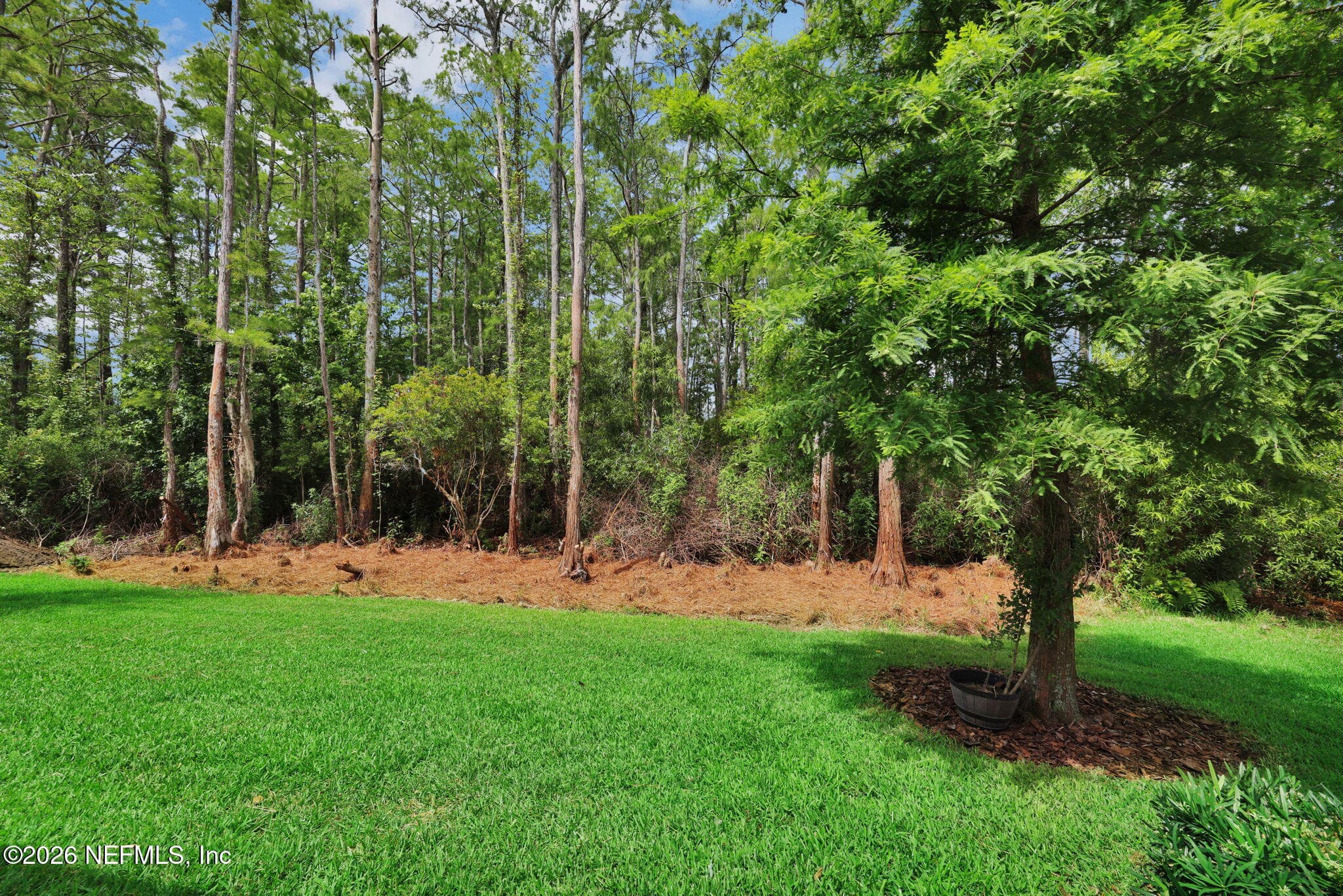 Photo 79 of 301 QUAIL VISTA Drive, Ponte Vedra, FL 32081