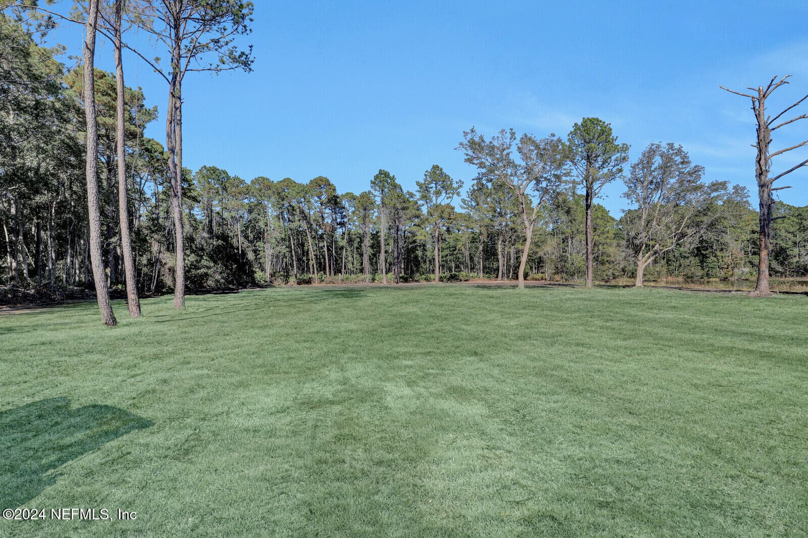 Photo 10 of 141 WOODS Road, San Mateo, FL 32187