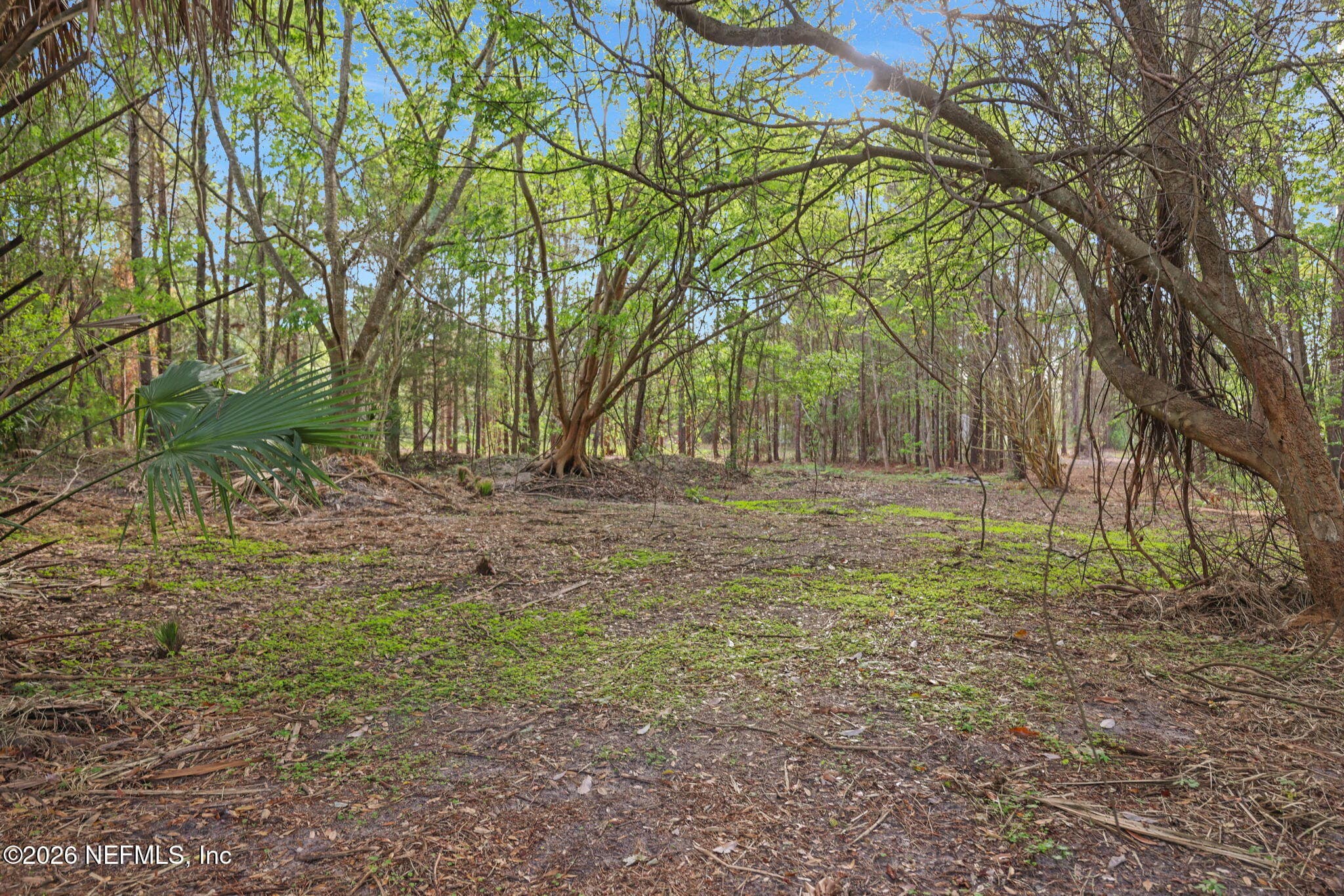 Photo 21 of 1133 GIRVIN Road, Jacksonville, FL 32225