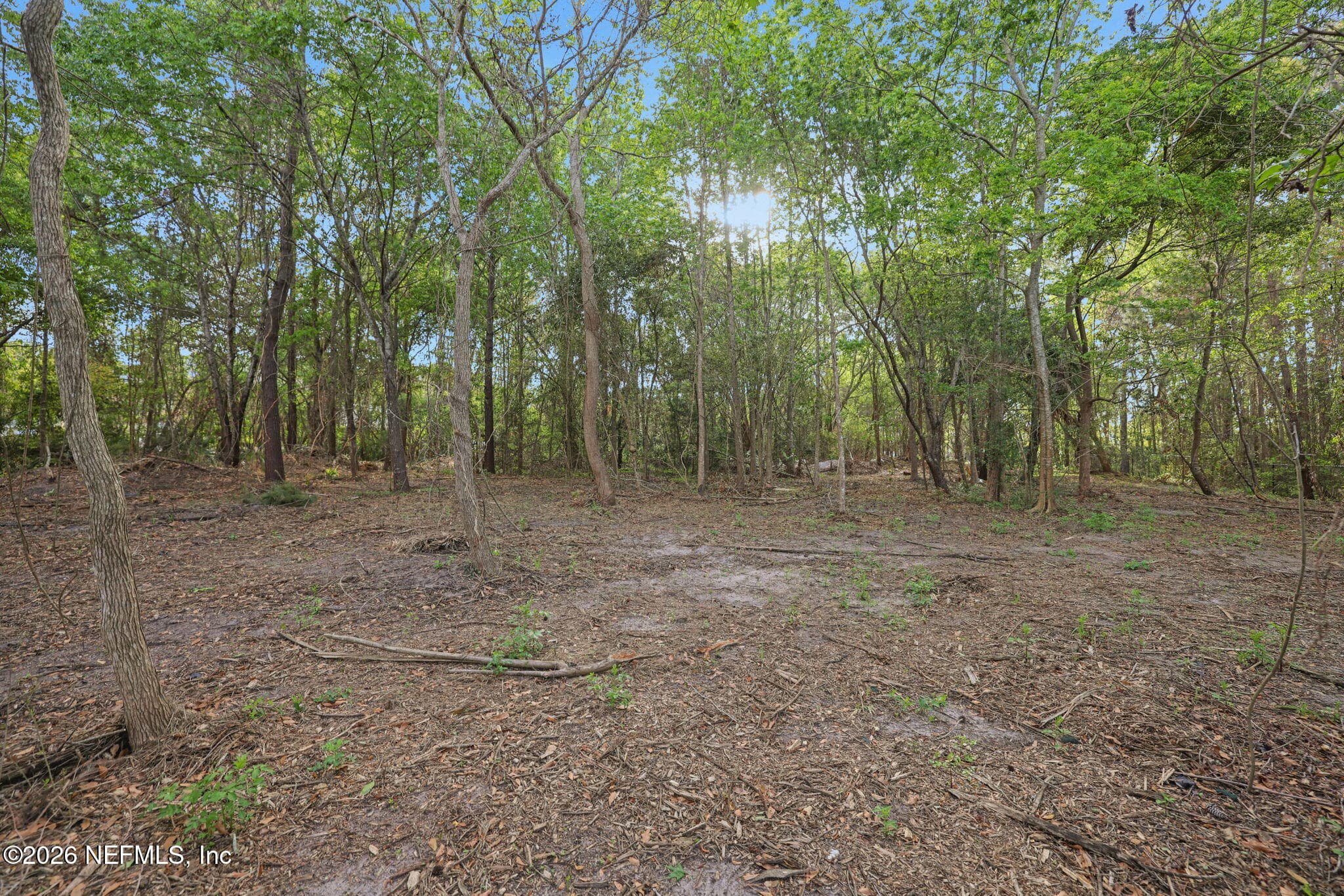 Photo 22 of 1133 GIRVIN Road, Jacksonville, FL 32225