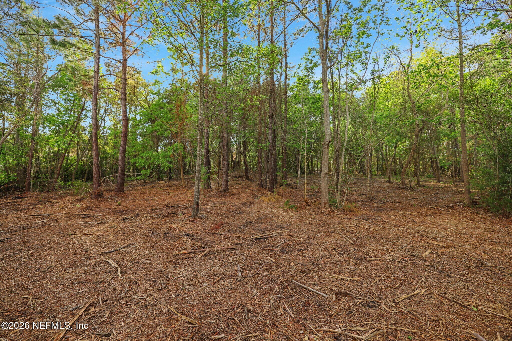 Photo 24 of 1133 GIRVIN Road, Jacksonville, FL 32225