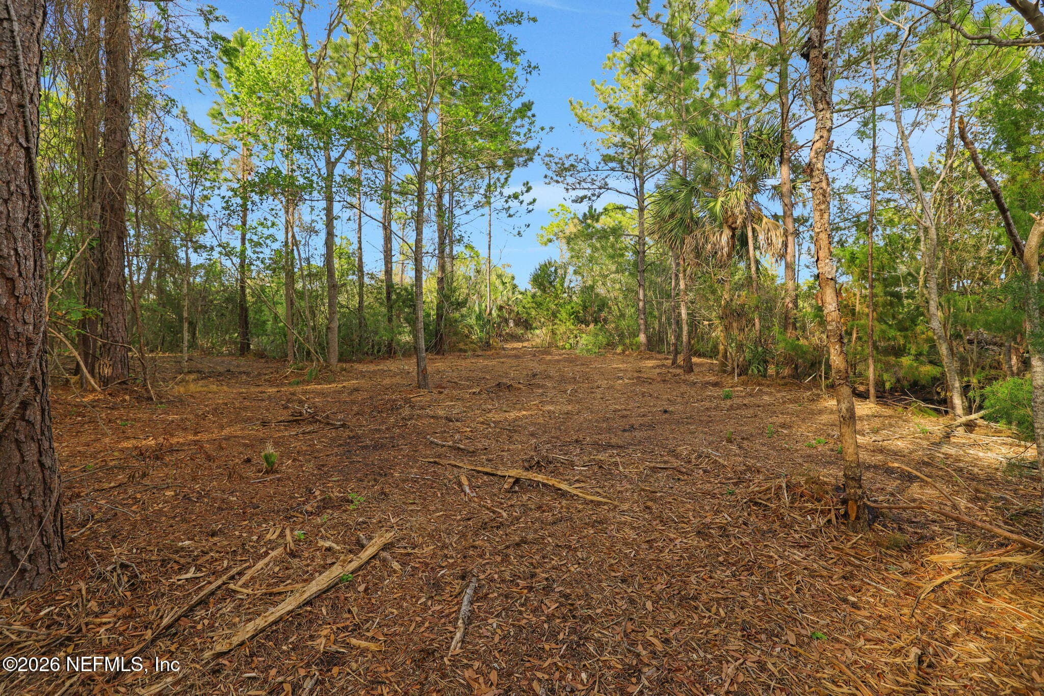 Photo 26 of 1133 GIRVIN Road, Jacksonville, FL 32225