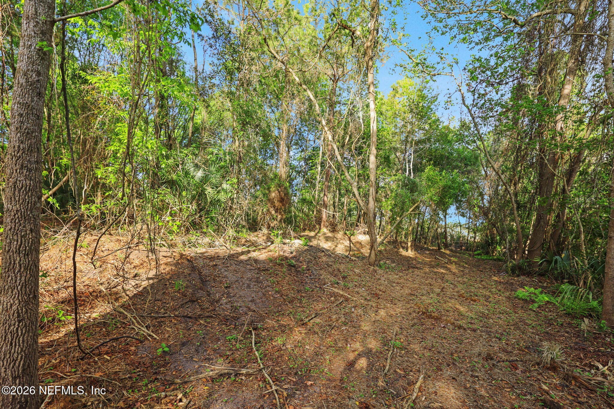 Photo 29 of 1133 GIRVIN Road, Jacksonville, FL 32225