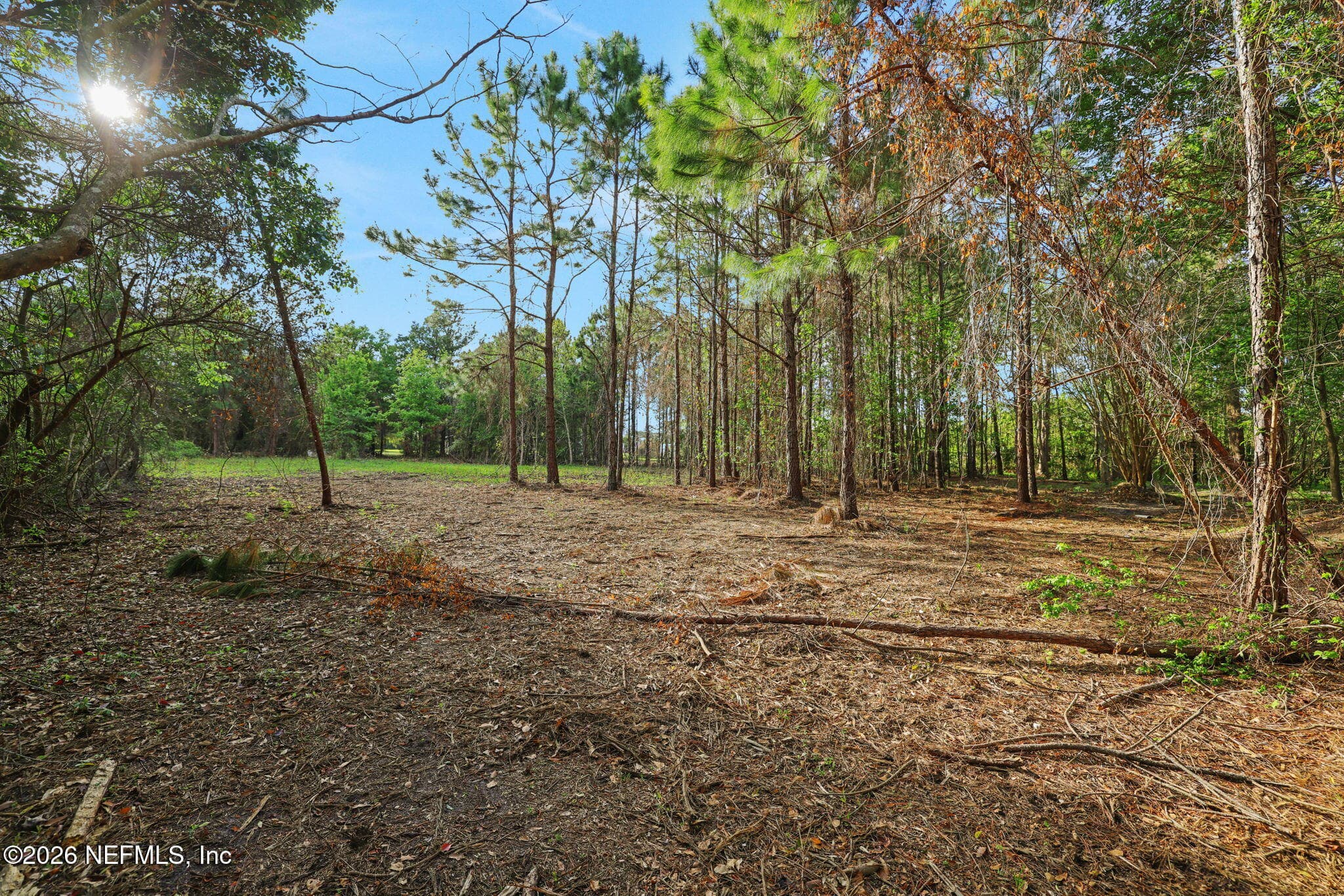 Photo 30 of 1133 GIRVIN Road, Jacksonville, FL 32225