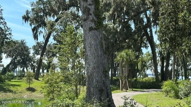 317 Oakmoss Drive, St. Johns, FL 32259