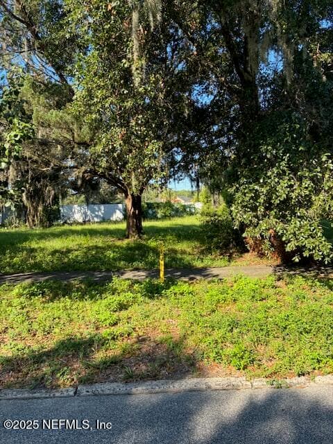 605 MAGNOLIA Avenue, Green Cove Springs, FL 32043