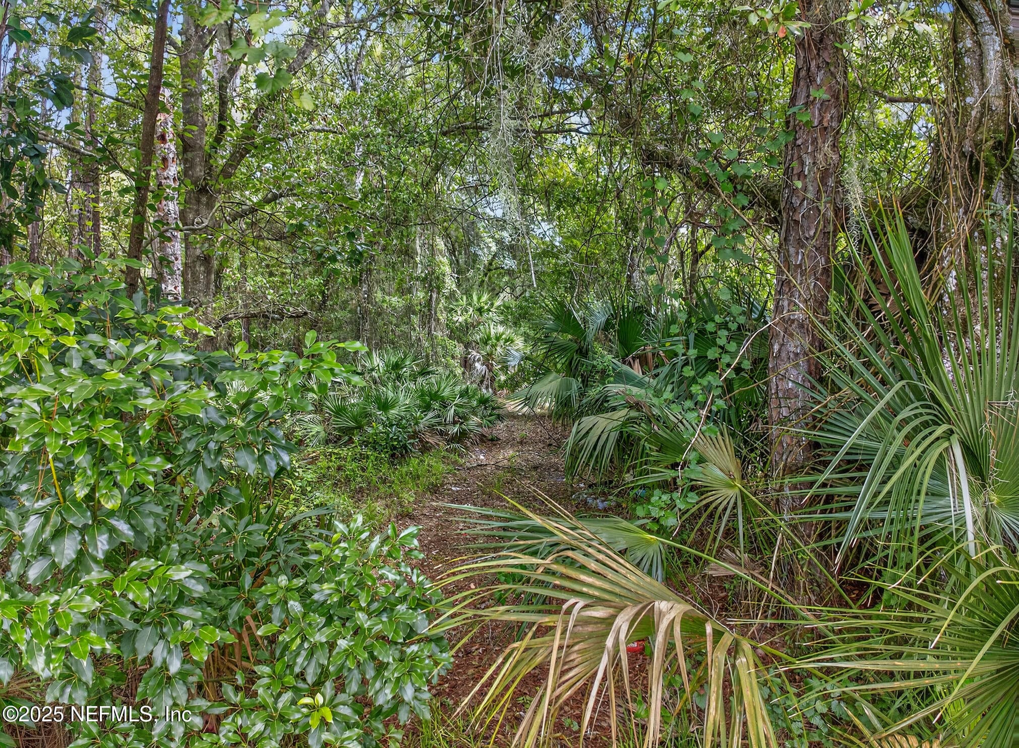 933 JOHN Street, St. Augustine, FL 32084