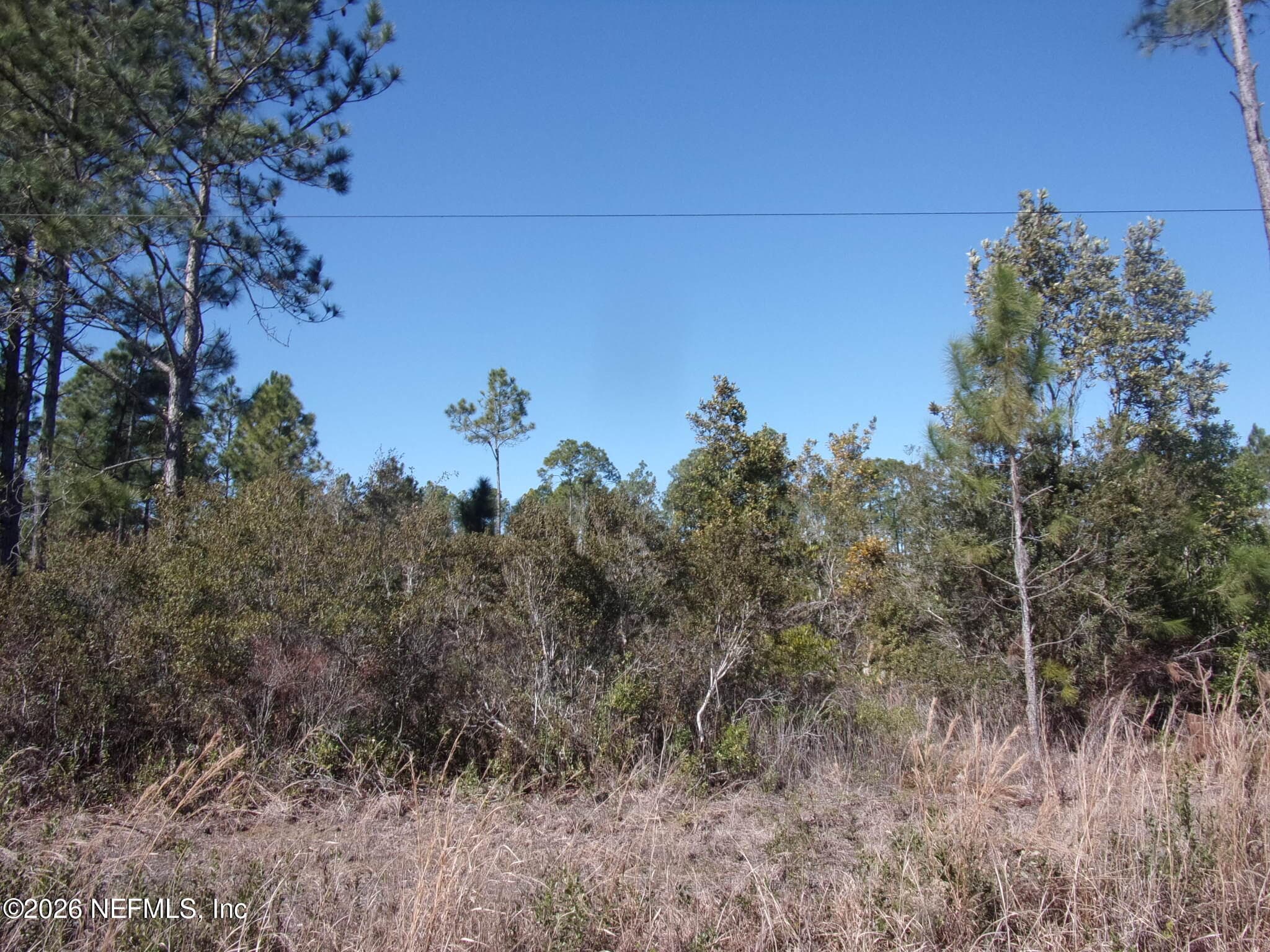 1658 S STATE RD 19, Palatka, FL 32177