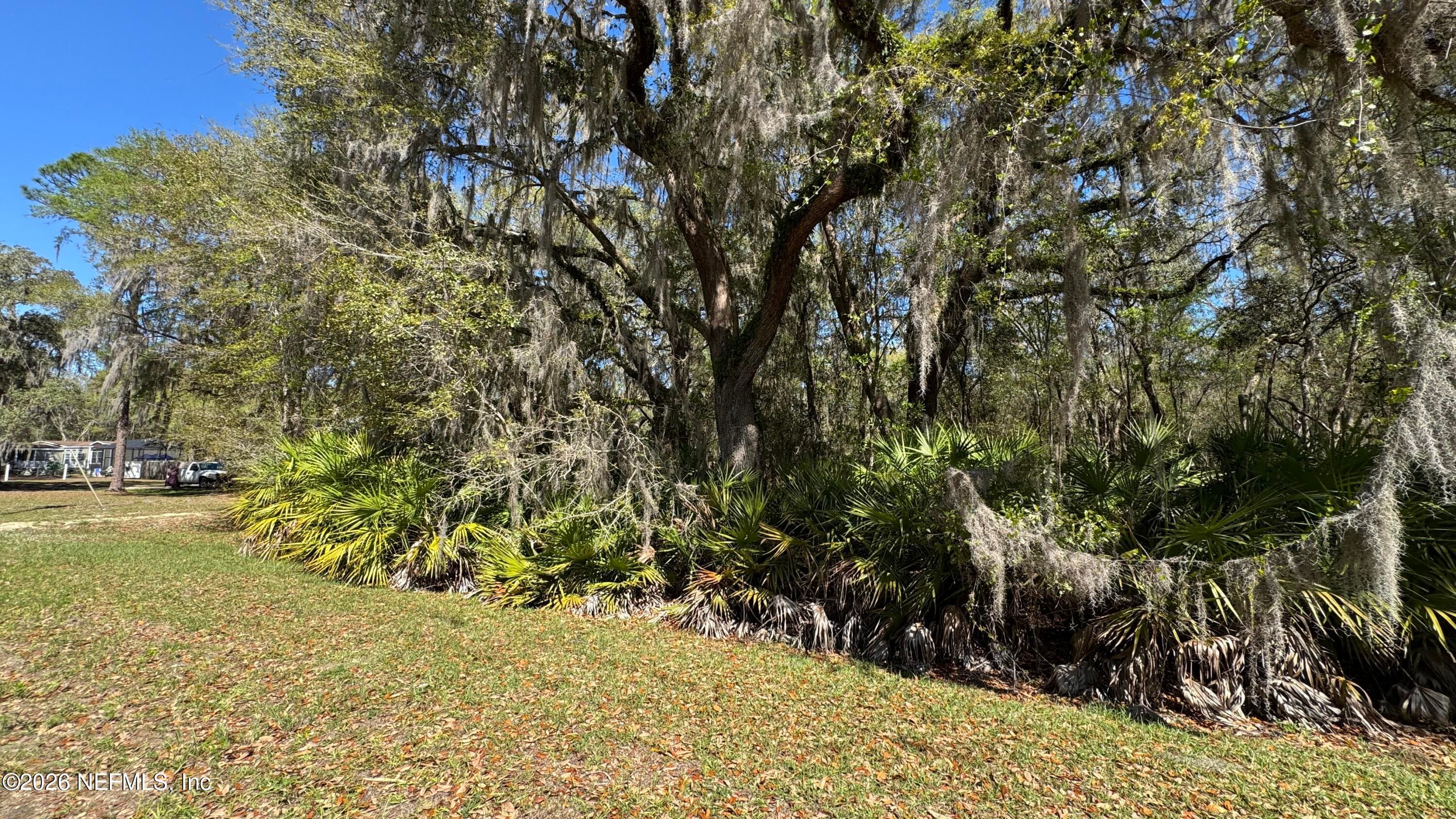 0 LAKE SUSAN Road, Hawthorne, FL 32640