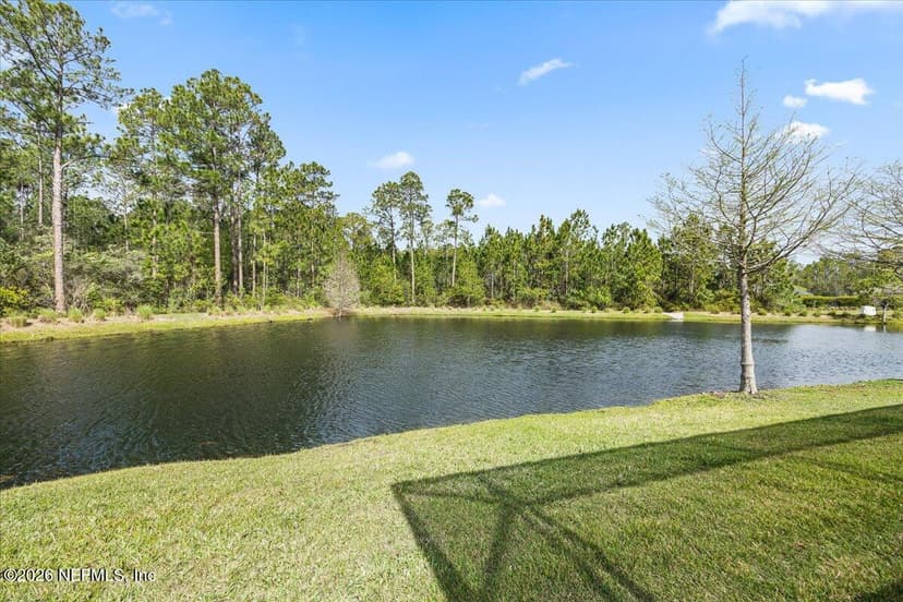 401 Brambly Vine Drive, St. Johns, FL 32259