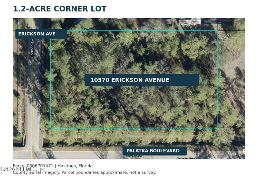 10570 Erickson Avenue, Hastings, FL 32145
