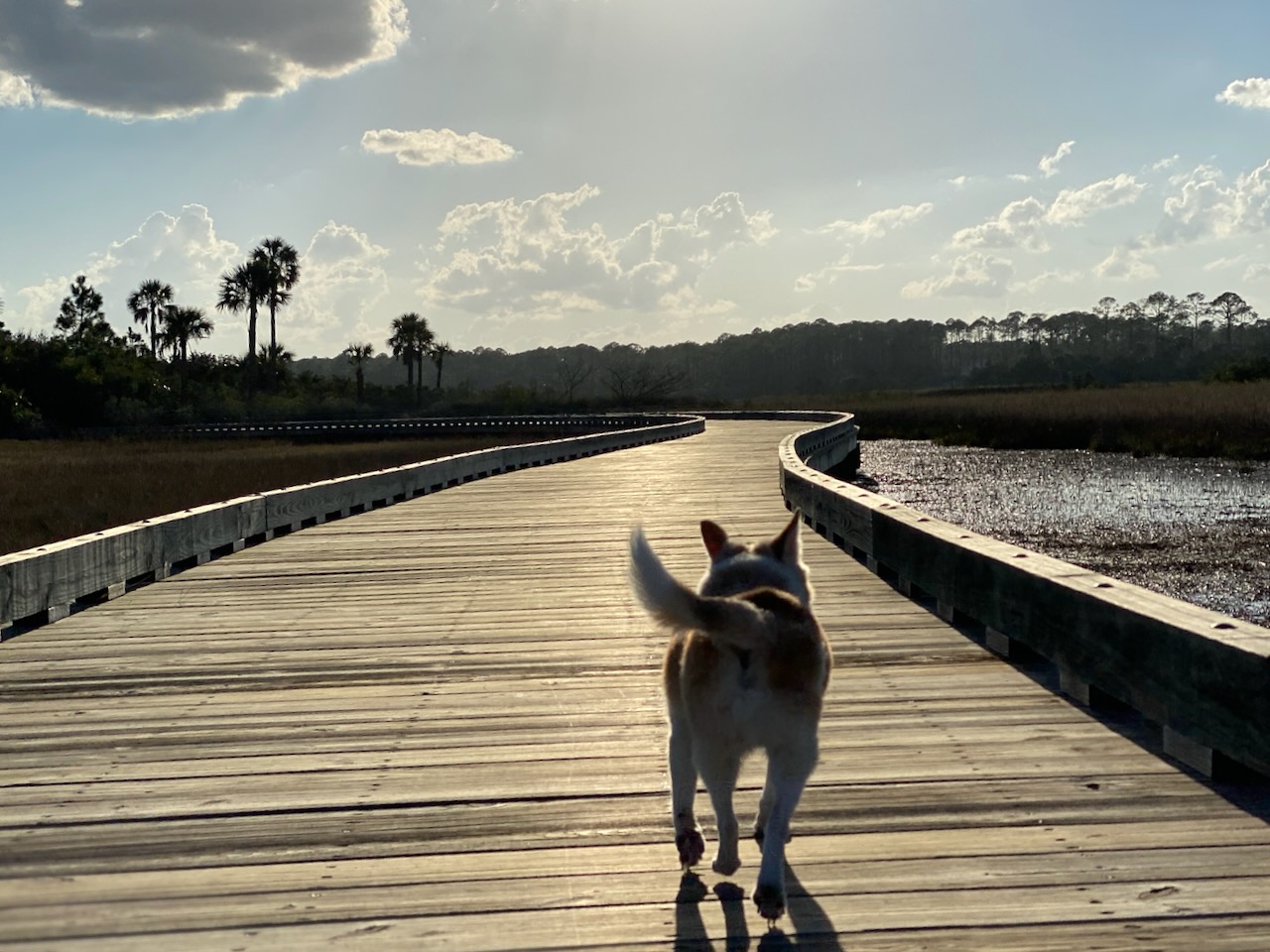 Coastal boardwalk in Ponte Vedra Beach, Northeast Florida